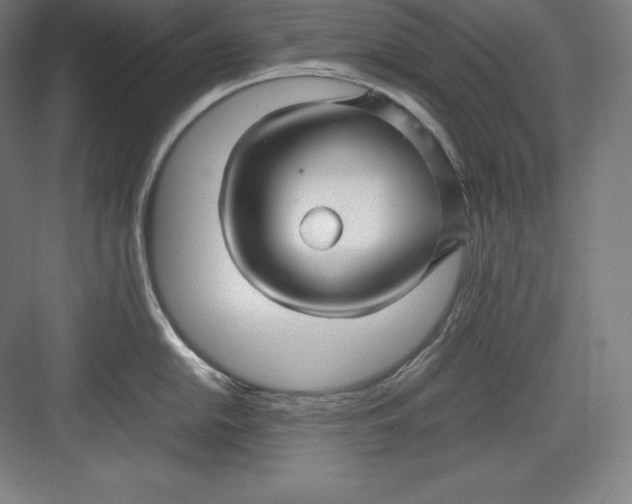 X0000082751054200702161954