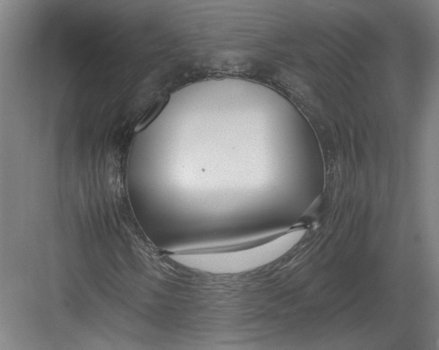 X0000082751058200702161954