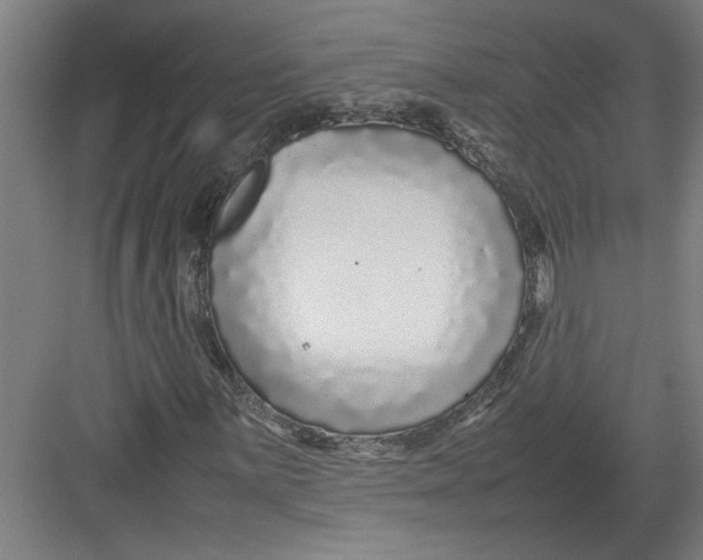 X0000082751059200702161954