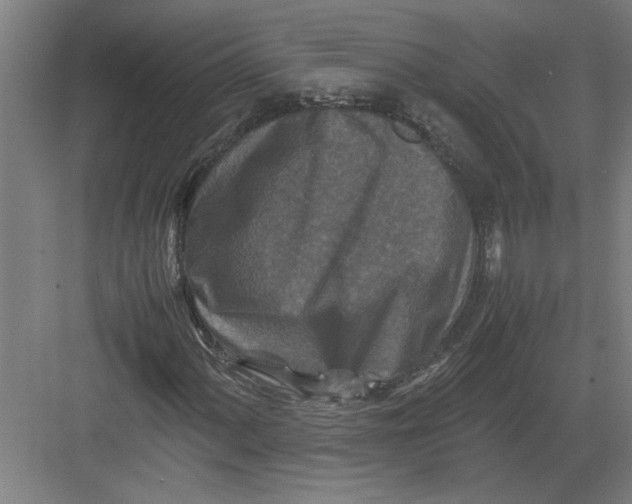 X0000082751060200702161954