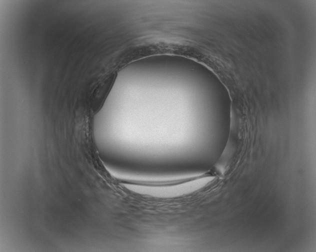 X0000082751061200702161954