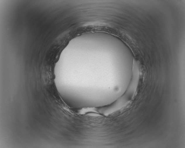 X0000082751062200702161954