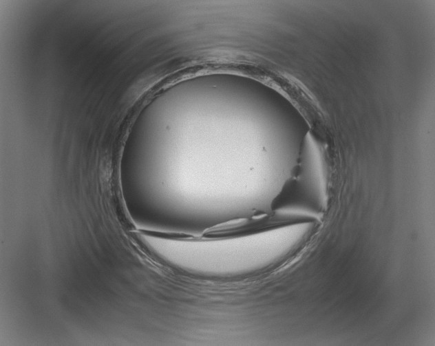 X0000082751065200702161954