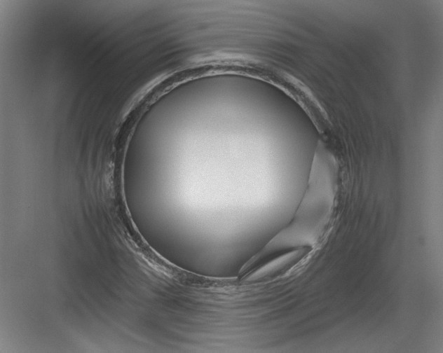 X0000082751066200702161953
