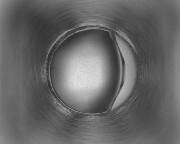 X0000082751068200702161953