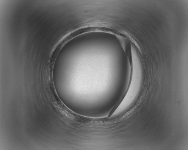 X0000082751069200702161953