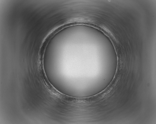 X0000082751070200702161953