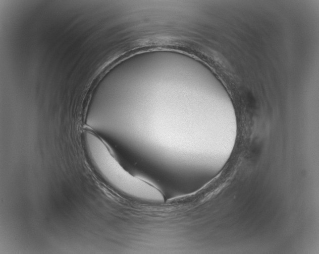 X0000082751073200702161953