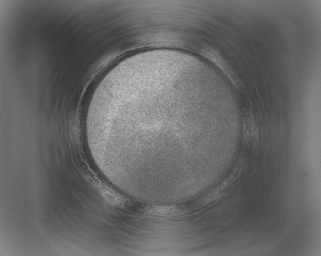 X0000082751074200702161953