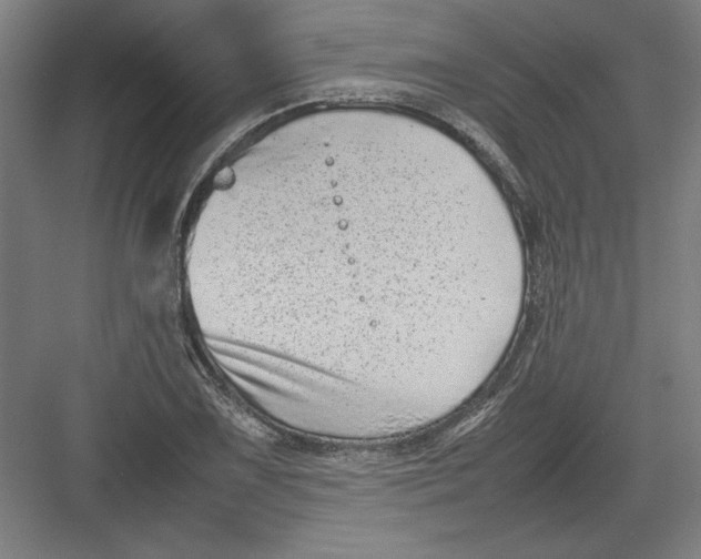 X0000082751075200702161953