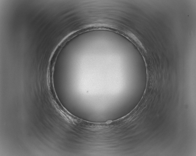 X0000082751076200702161953