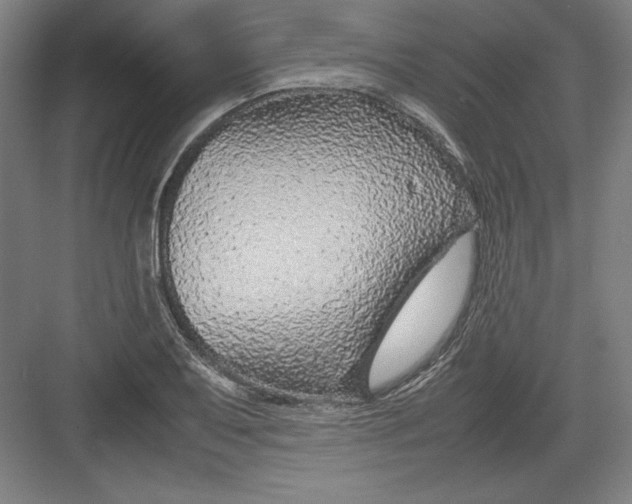 X0000082751079200702161953