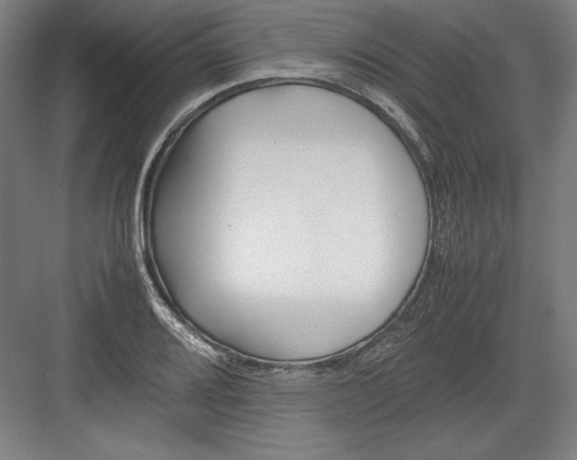 X0000082751080200702161953