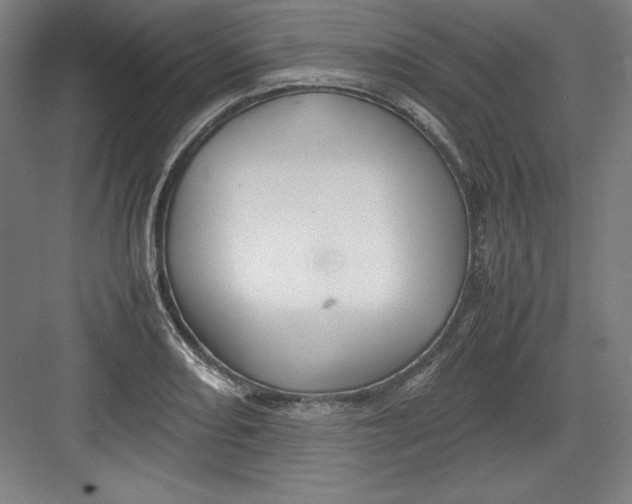 X0000082751082200702161953