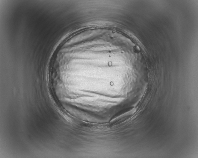X0000082751083200702161953