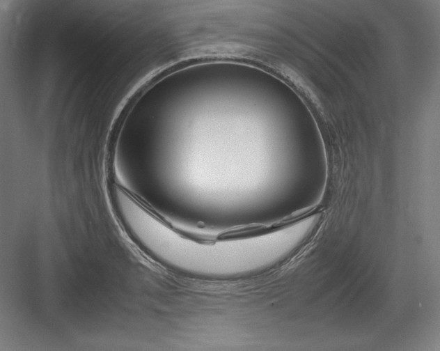 X0000082751085200702161953