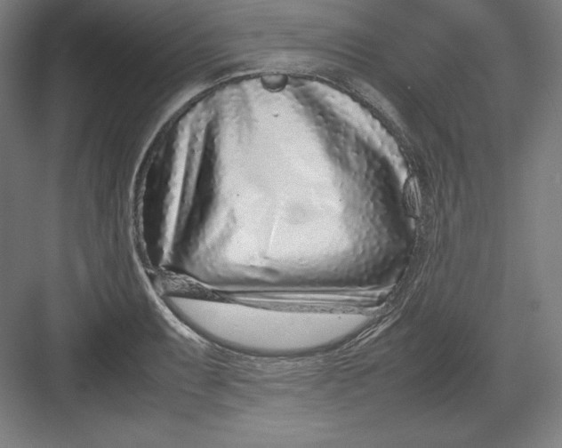 X0000082751087200702161953