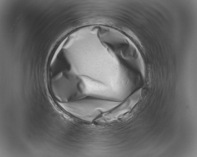 X0000082751088200702161953