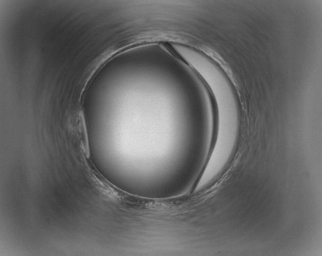 X0000082751089200702161953