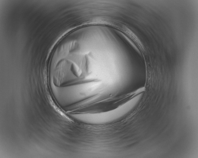 X0000082751092200702161953