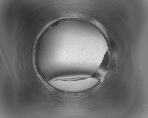 X0000082751093200702161953