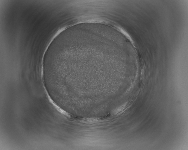 X0000082751095200702161953