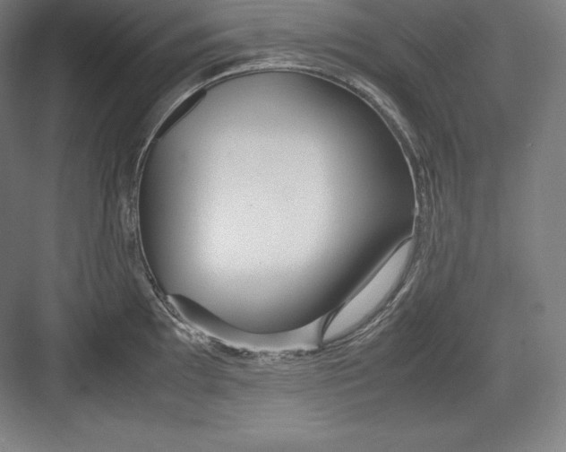 X0000082751097200702161953