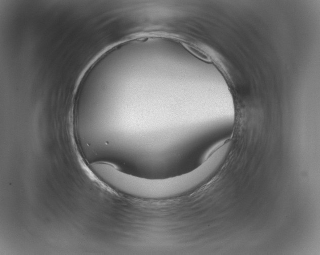 X0000082751100200702161953