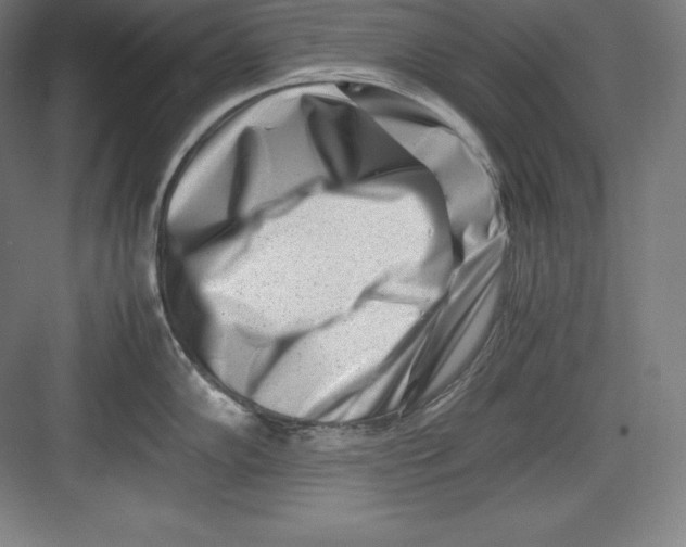 X0000082751102200702161953