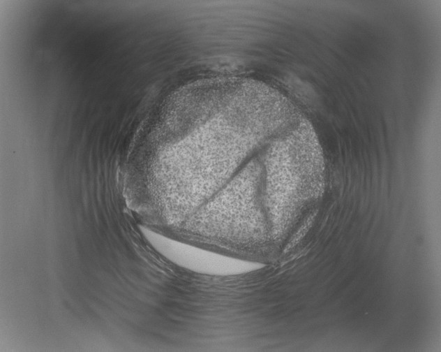 X0000082751106200702161952