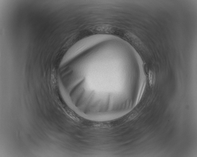 X0000082751107200702161952