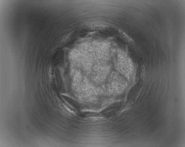 X0000082751108200702161952