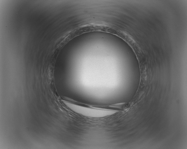 X0000082751110200702161952