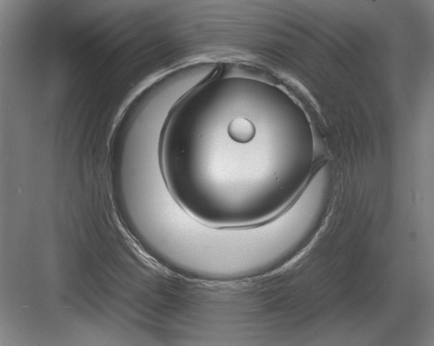 X0000082751114200702161952