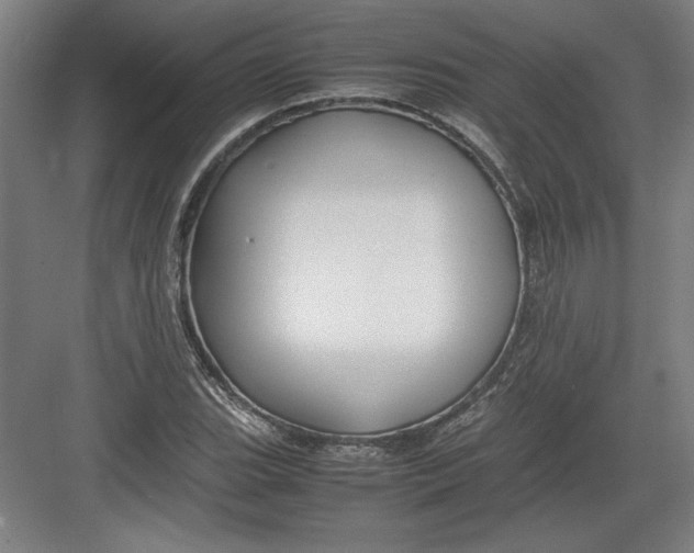 X0000082751119200702161952