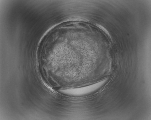 X0000082751120200702161952