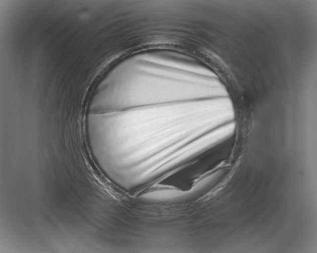 X0000082751121200702161952