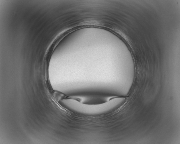 X0000082751123200702161952