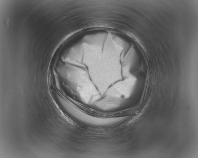 X0000082751125200702161952