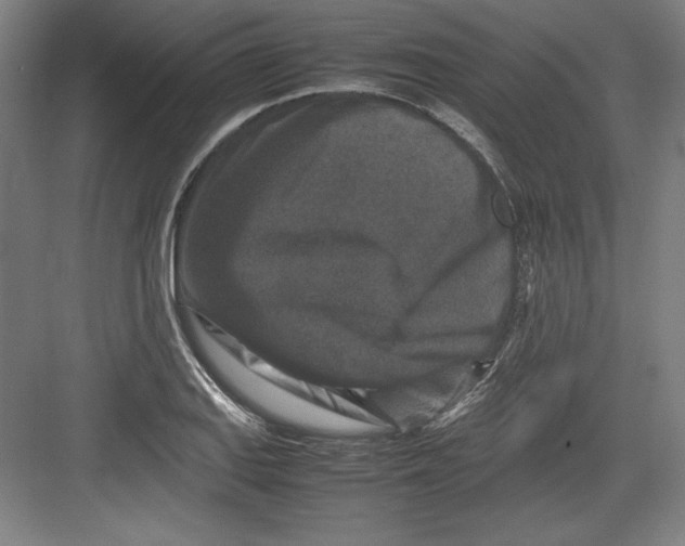 X0000082751127200702161952