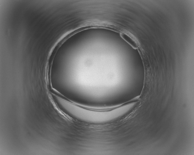 X0000082751128200702161952