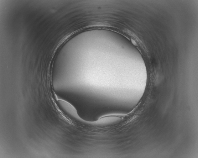 X0000082751129200702161952