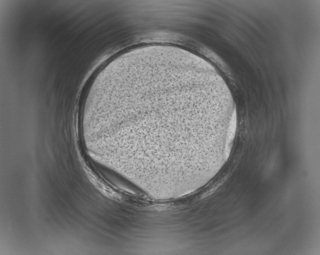X0000082751130200702161952