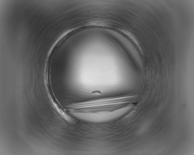 X0000082751131200702161952