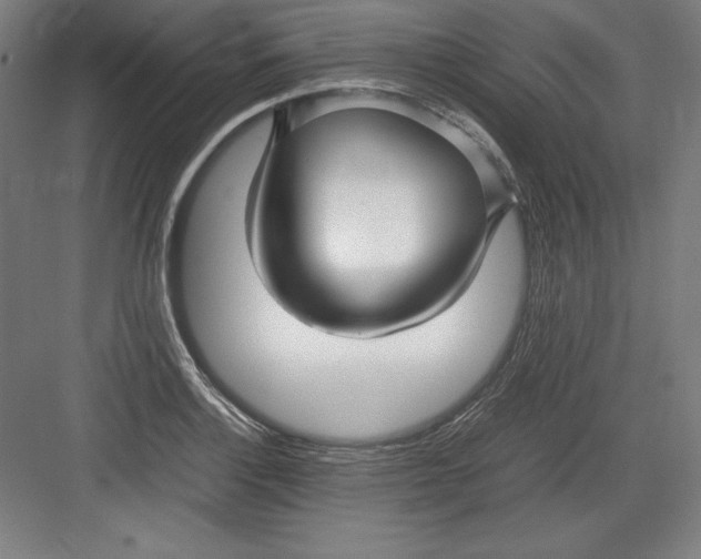 X0000082751132200702161953