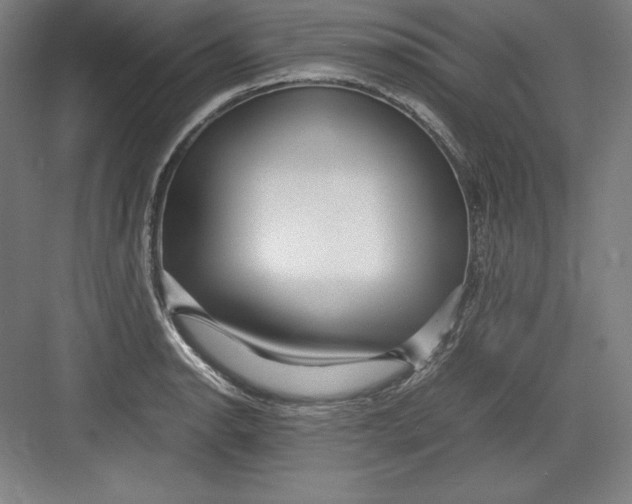 X0000082751134200702161953