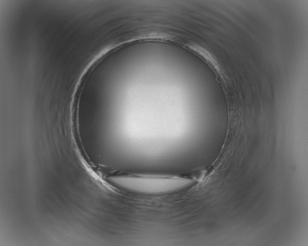 X0000082751135200702161953