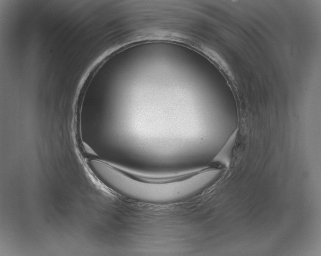 X0000082751136200702161953