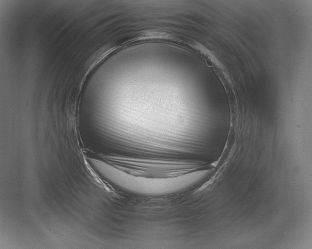 X0000082751137200702161953