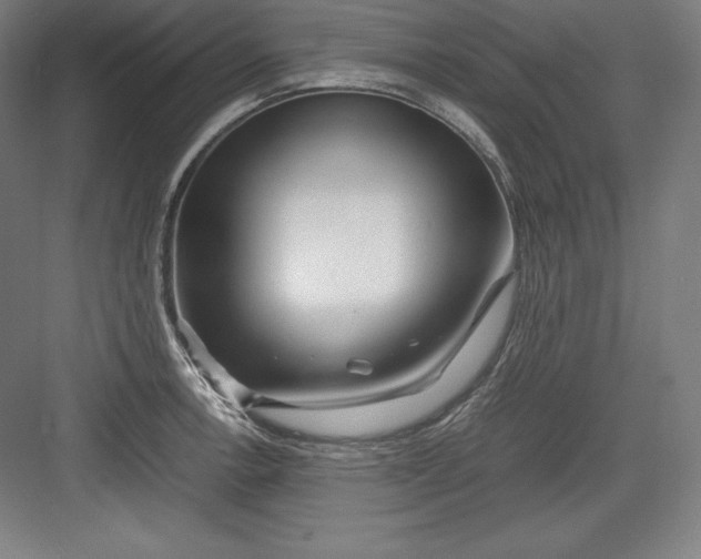 X0000082751138200702161953